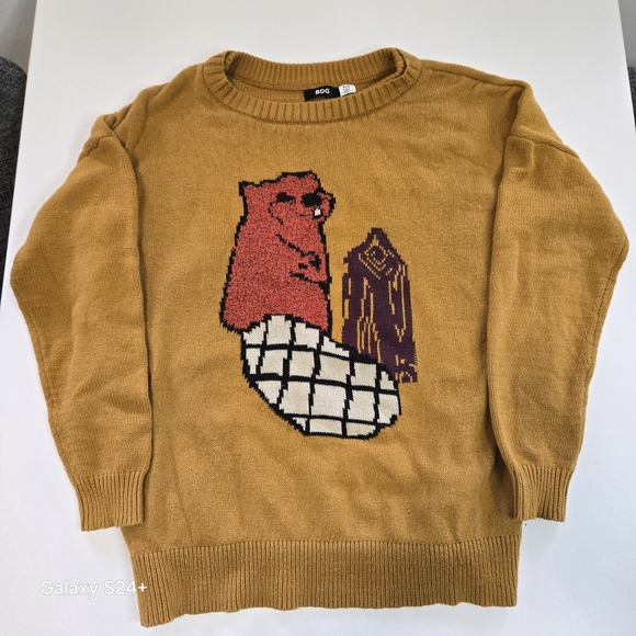 Urban Outfitters Sweaters - Cozy Sweater with Beaver Design